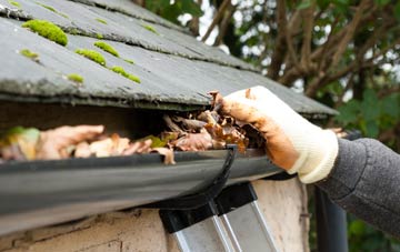 gutter cleaning St Vigeans, Angus